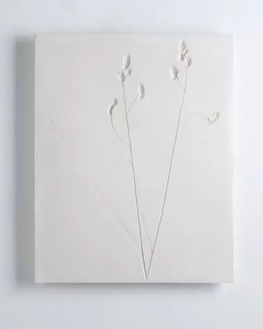 Vestiges