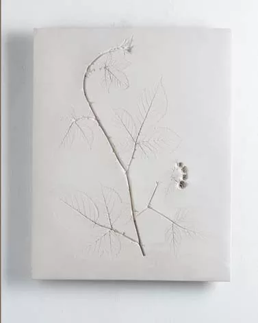 Vestiges