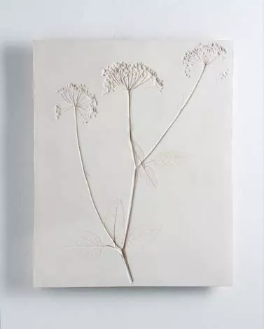 Vestiges