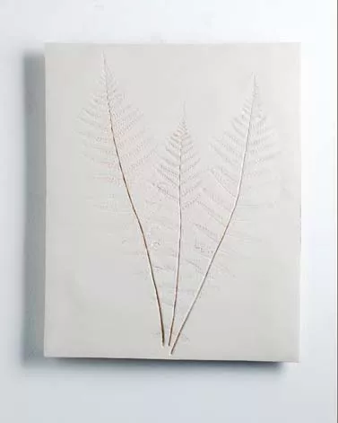 Vestiges