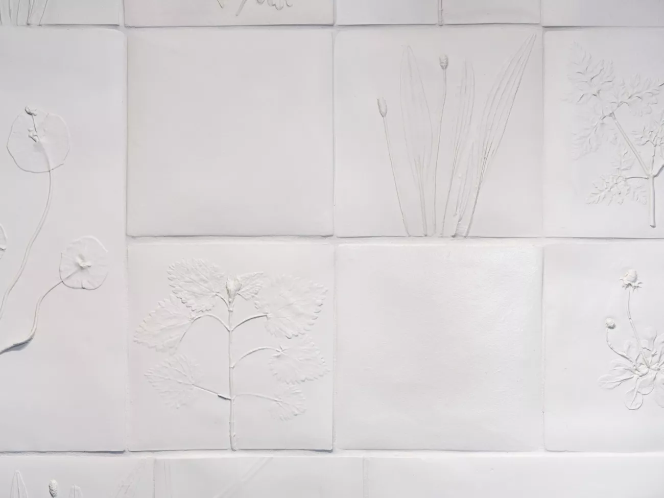 Les plantes