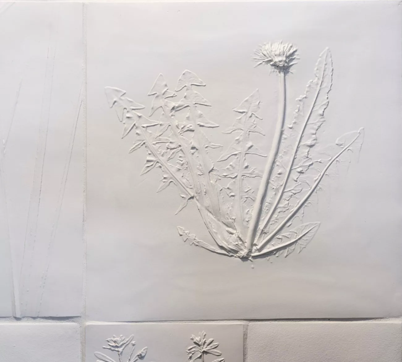 Les plantes