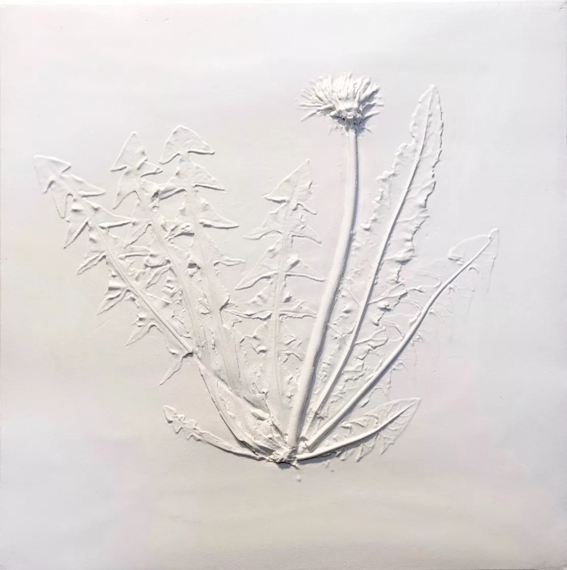 Les plantes