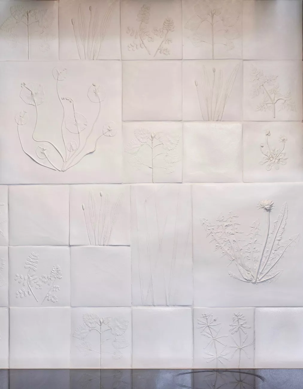Les plantes