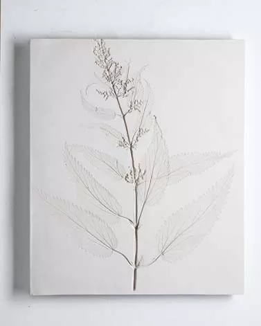 Vestiges