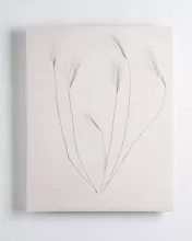 Vestiges
