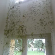 Musée du papier peint Mézières
