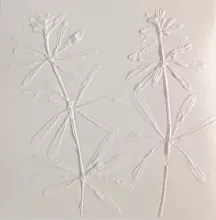 Les plantes